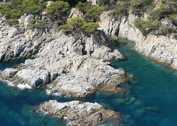 Casa Les Oliveres