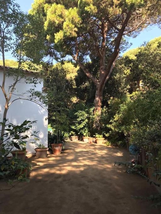 Villa Casa Les Oliveres Lloret de Mar
