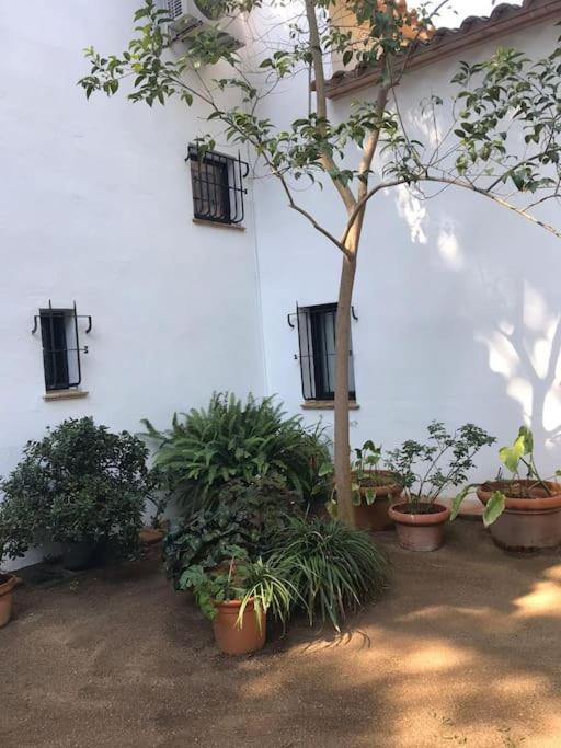 Casa Les Oliveres Villa
