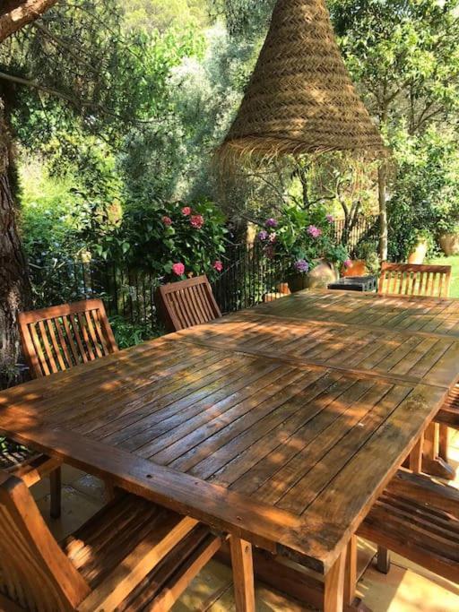 Casa Les Oliveres *